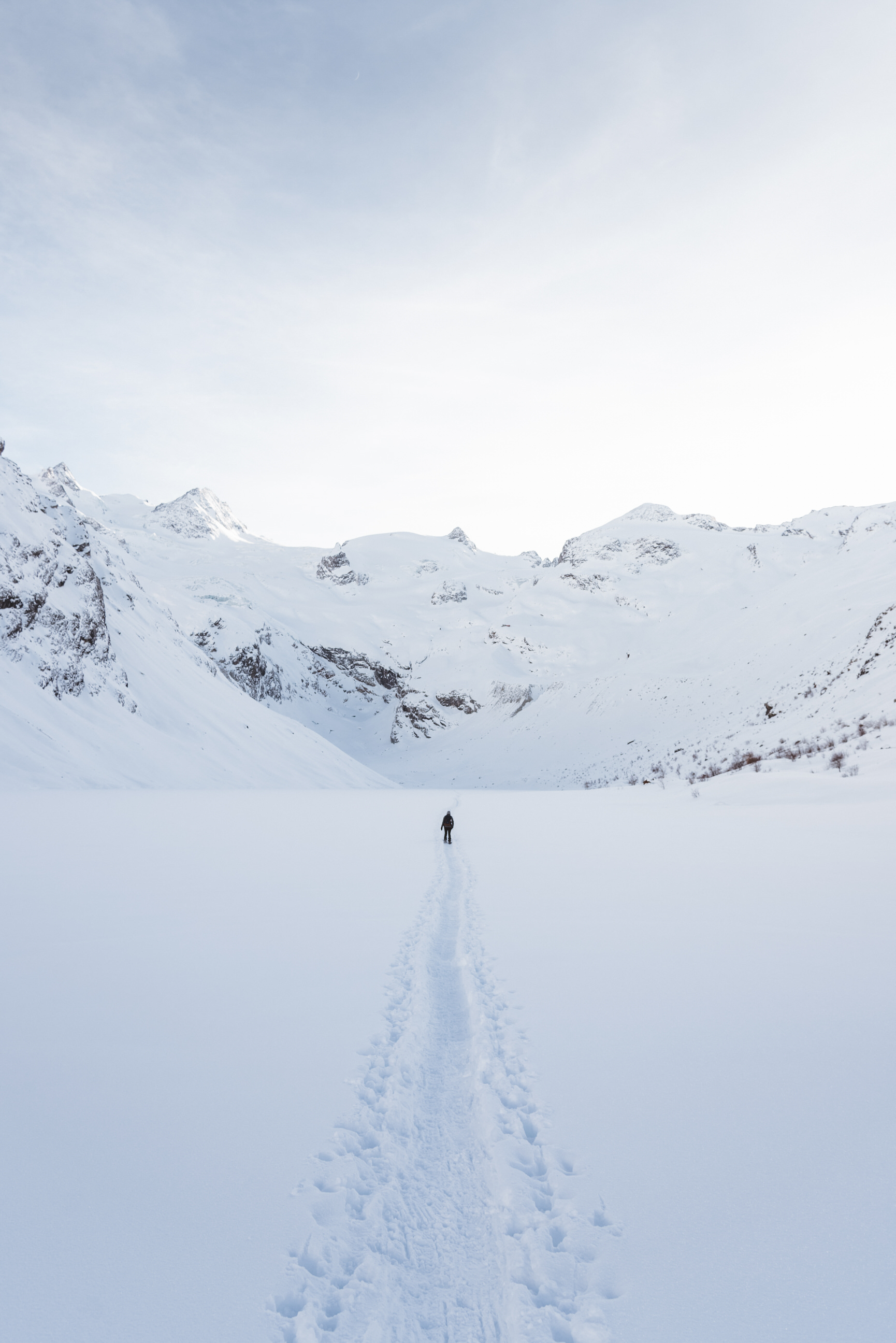 photo of winter snowshoe